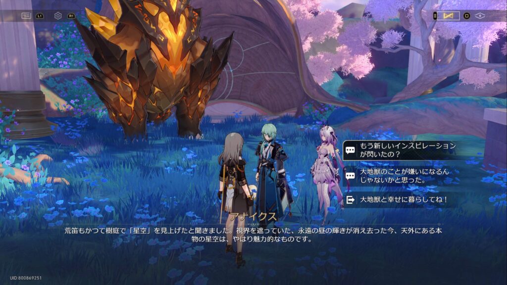 オンパロスのインテリア　アナイクス